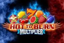 Hot to Burn Multiplier Slot Review